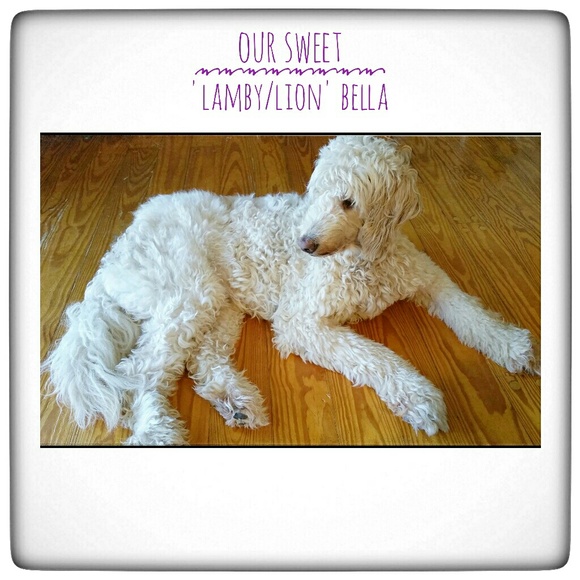 Sharing a Love of Art and Fashion - Picture 5 of 8